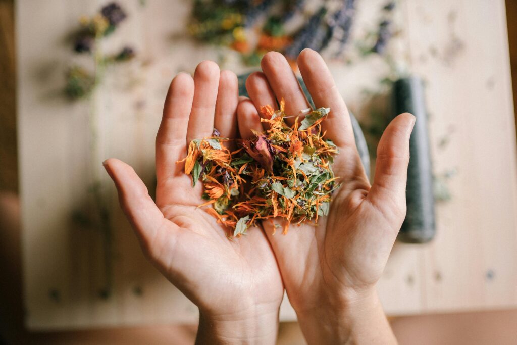 Close-Up Shot of a Person Holding Herbs and Spices