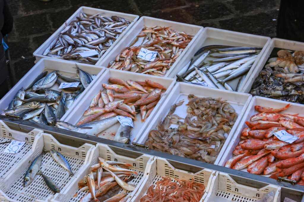 Fishes in White Plastic Container