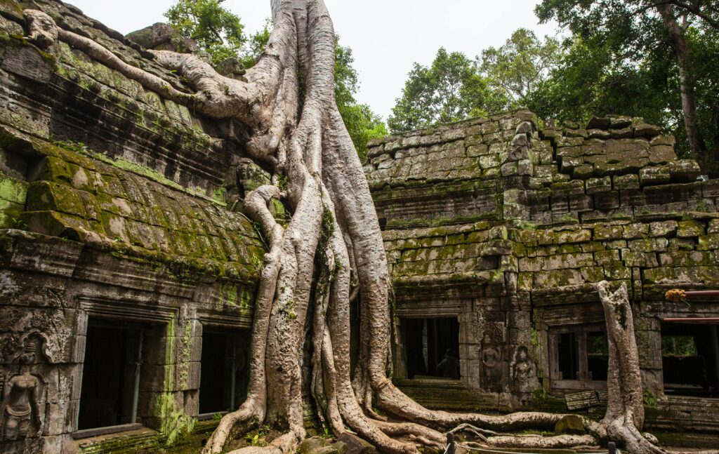 Ancient Ta Prohm temple with massive tree roots in Siem Reap, Cambodia.